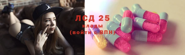 крисы Дмитриев