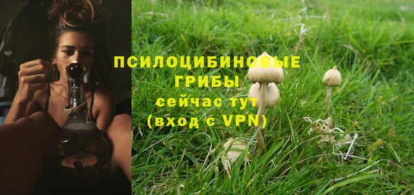 ECSTASY Горно-Алтайск