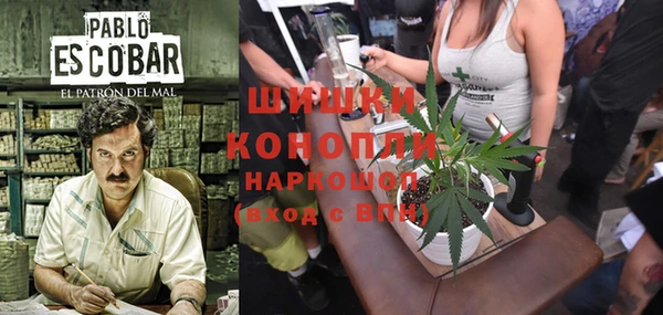 крисы Дмитриев