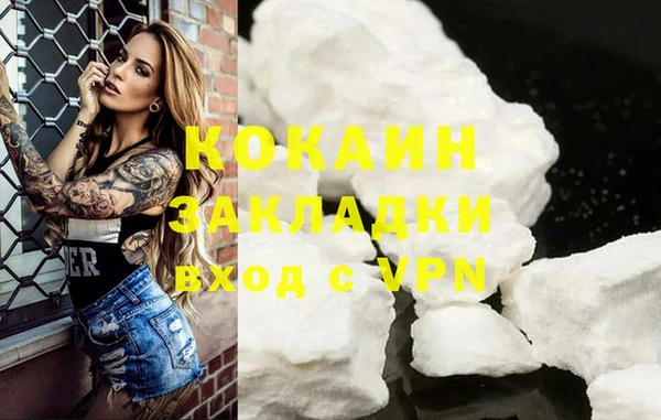 индика Касимов
