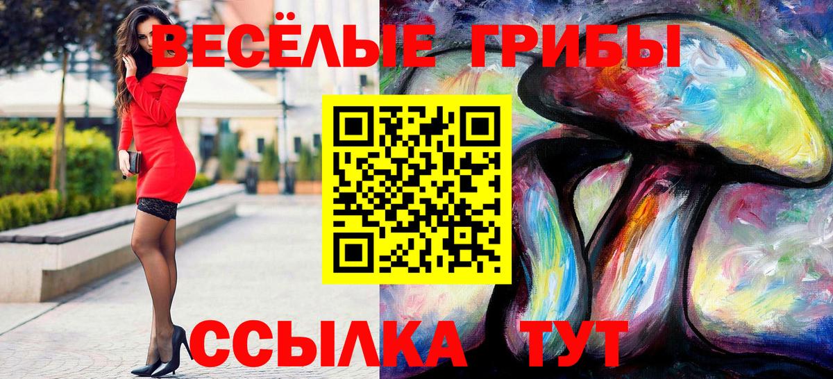 Псилоцибиновые грибы ЛСД  Вольск  Галлюциногенные грибы Cubensis 