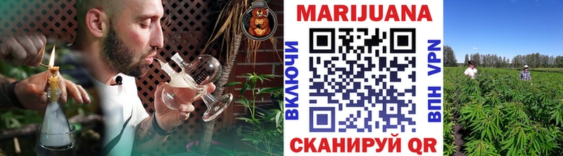 Шишки марихуана OG Kush Вольск